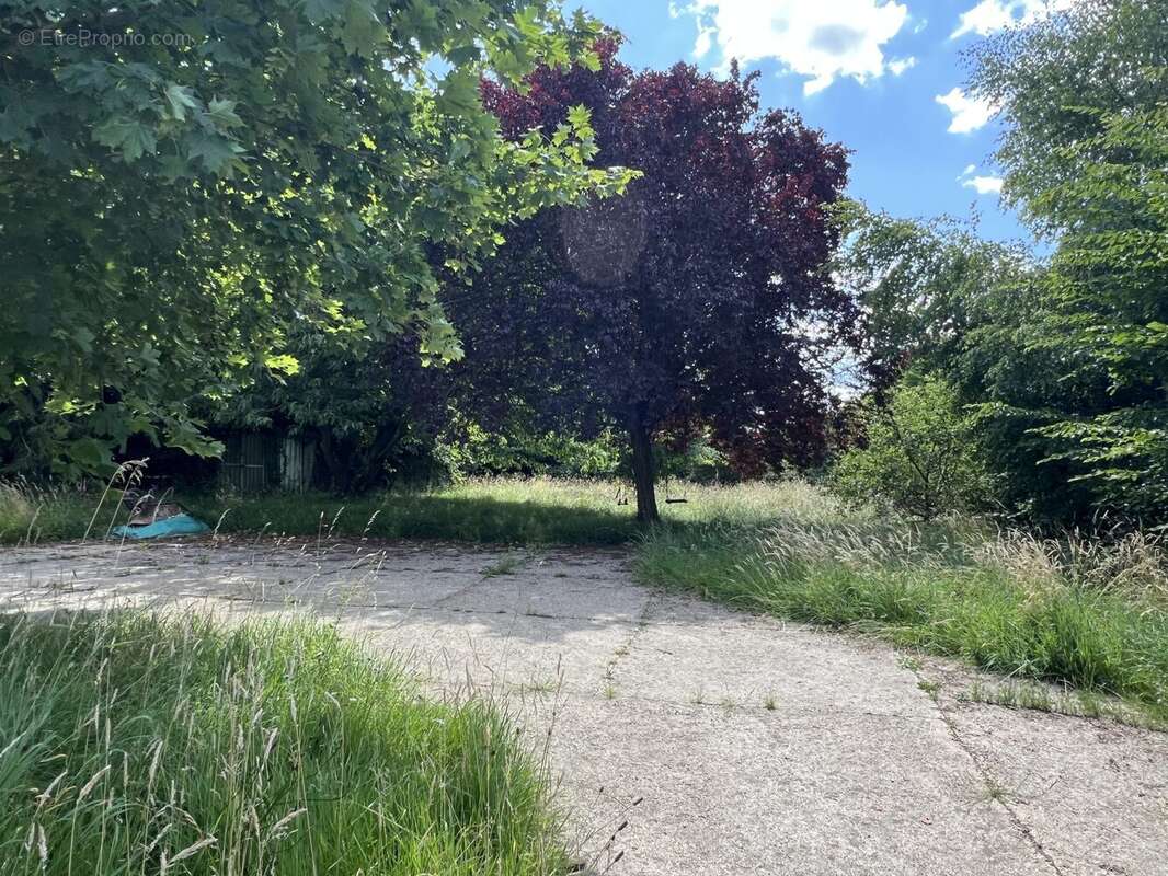 jardin - Maison à LA LANDE-DE-LOUGE