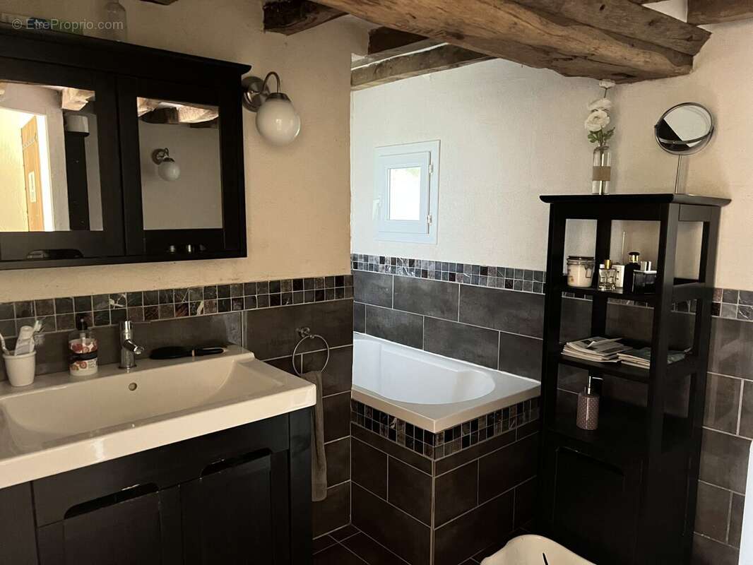 salle de bains/WC RDC - Maison à LA LANDE-DE-LOUGE