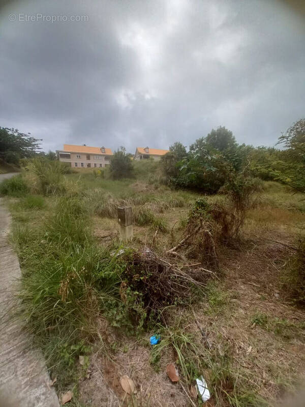 Terrain à LE MARIGOT