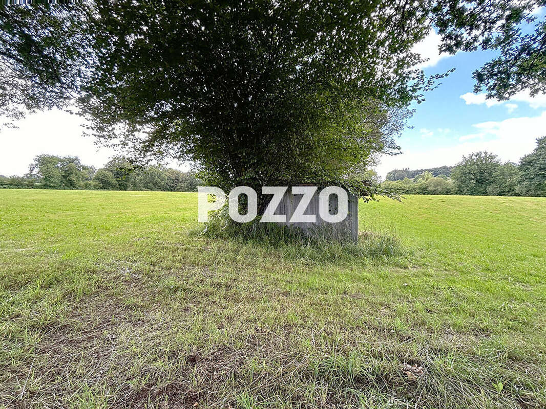 Maison à LA CHAPELLE-CECELIN