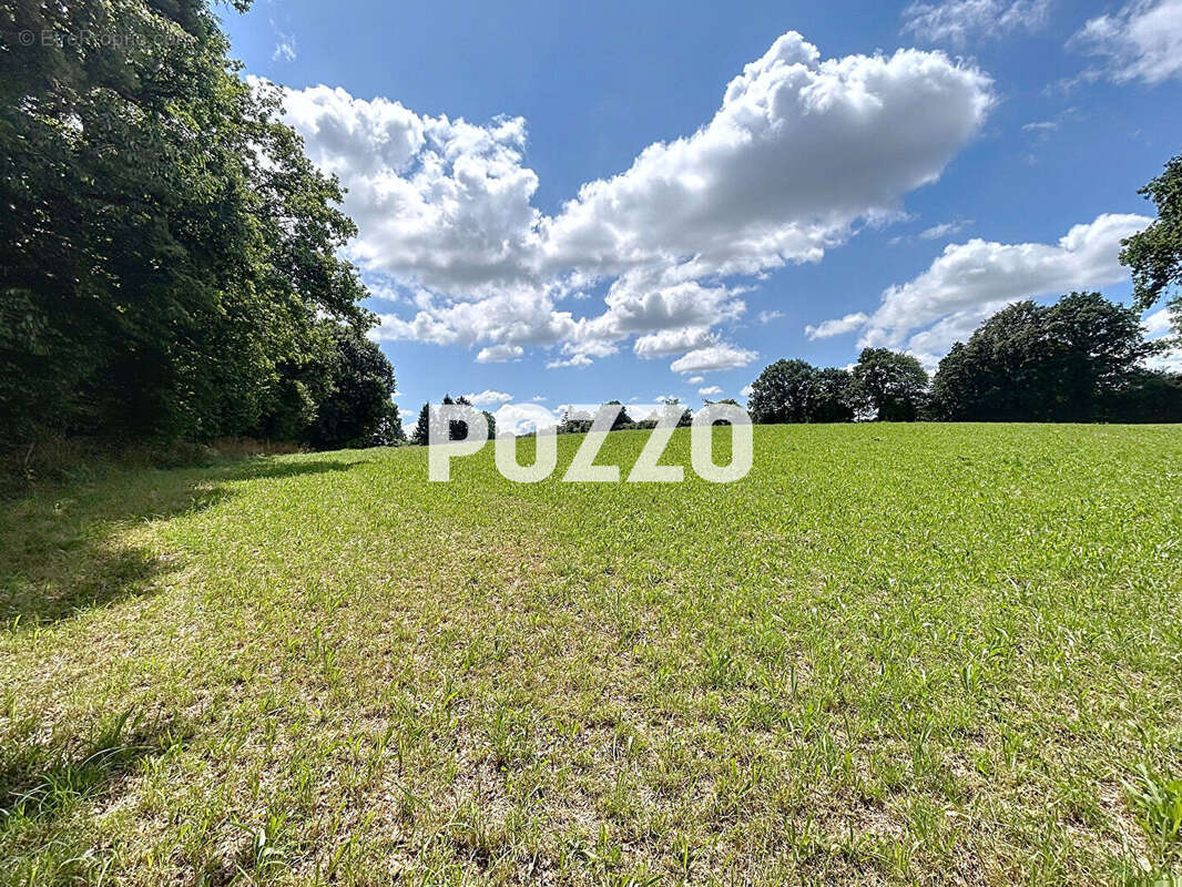 Maison à LA CHAPELLE-CECELIN