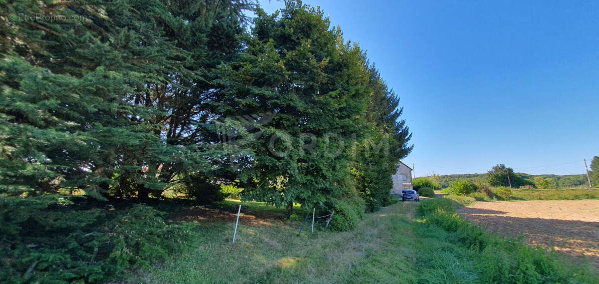 Maison à SUILLY-LA-TOUR