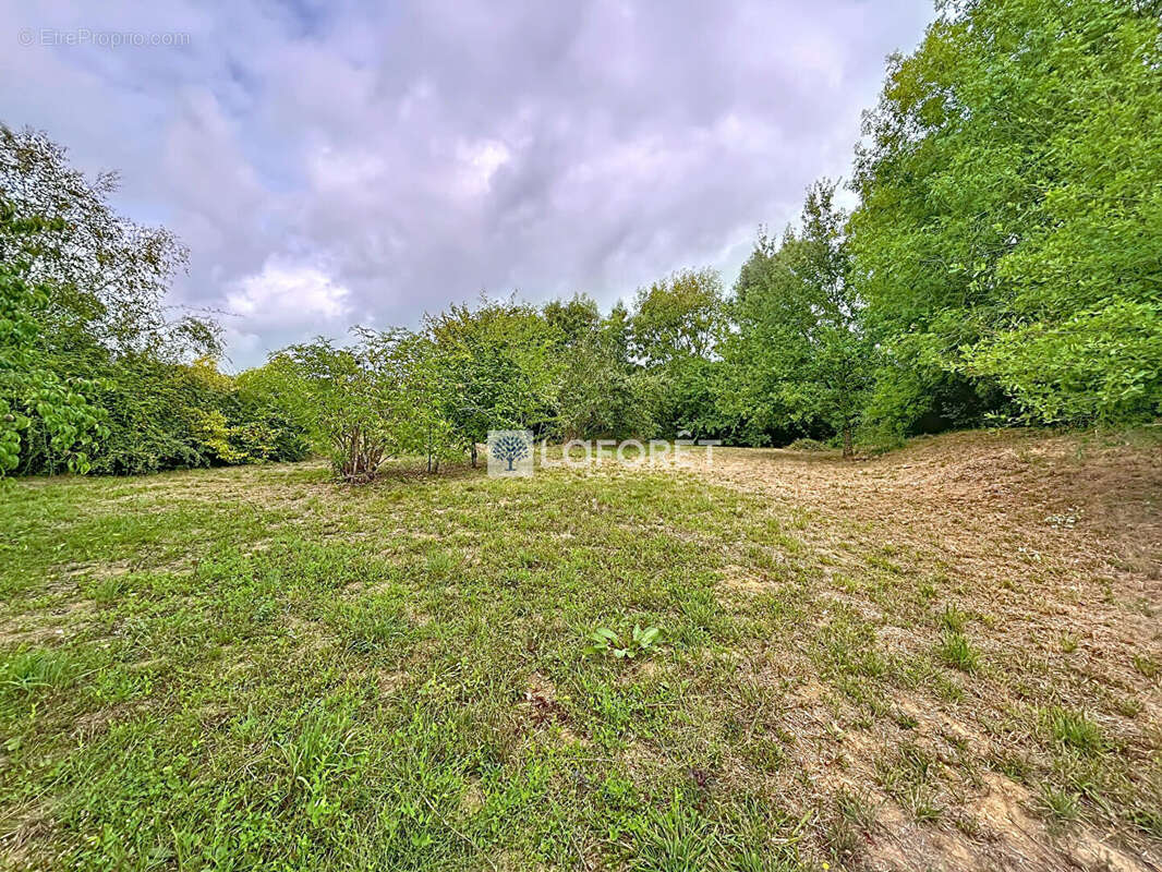 Maison à BEAULIEU-SOUS-PARTHENAY