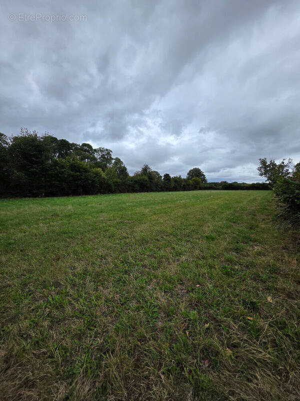 Terrain à AUCHY-LA-MONTAGNE