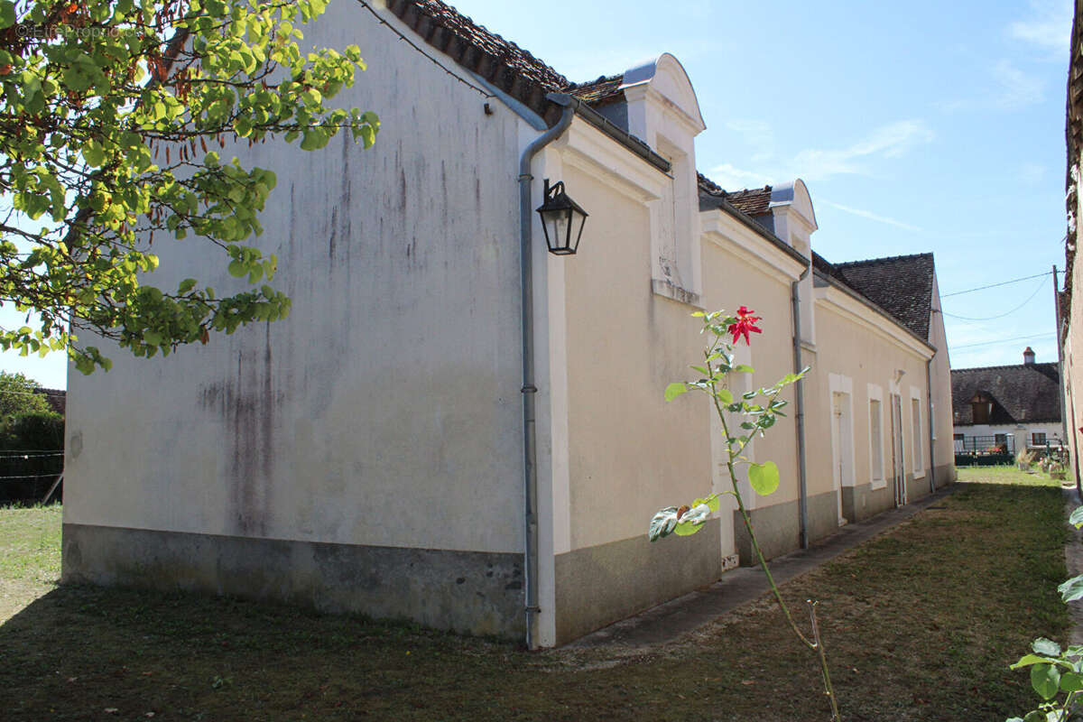 Maison à SELLES-SUR-CHER