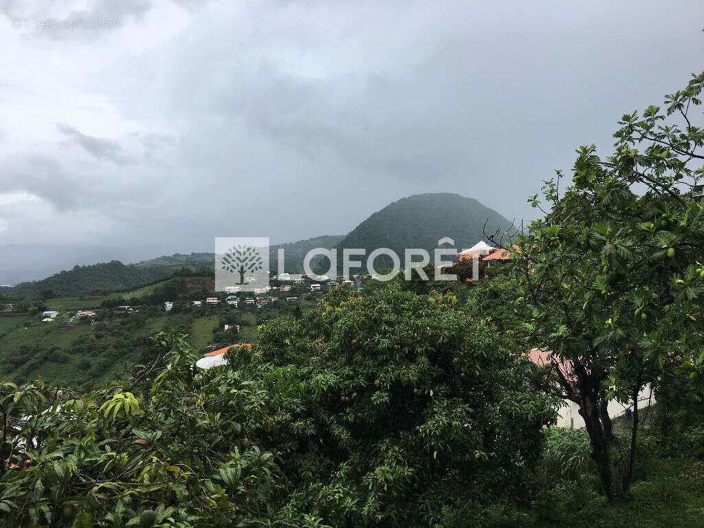 Appartement à LE MORNE-VERT