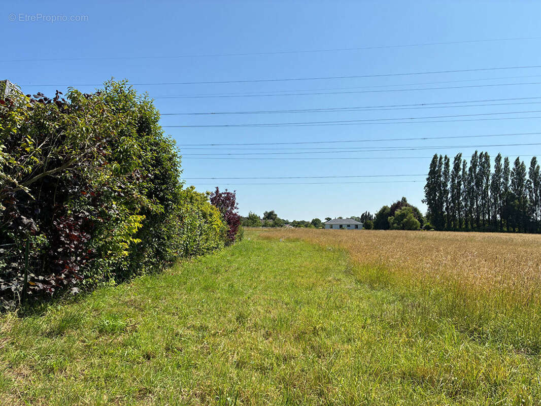Terrain à SAINT-NICOLAS-DE-LA-TAILLE