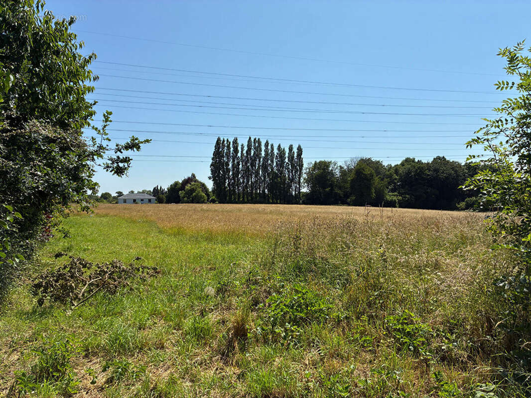 Terrain à SAINT-NICOLAS-DE-LA-TAILLE