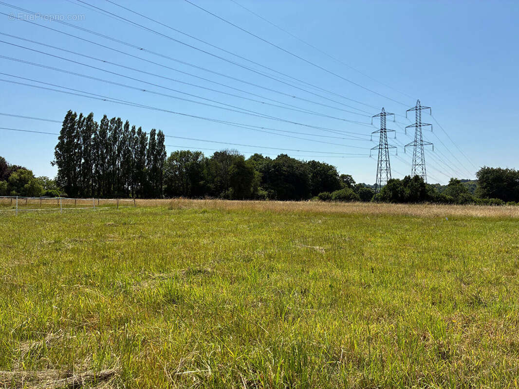 Terrain à SAINT-NICOLAS-DE-LA-TAILLE