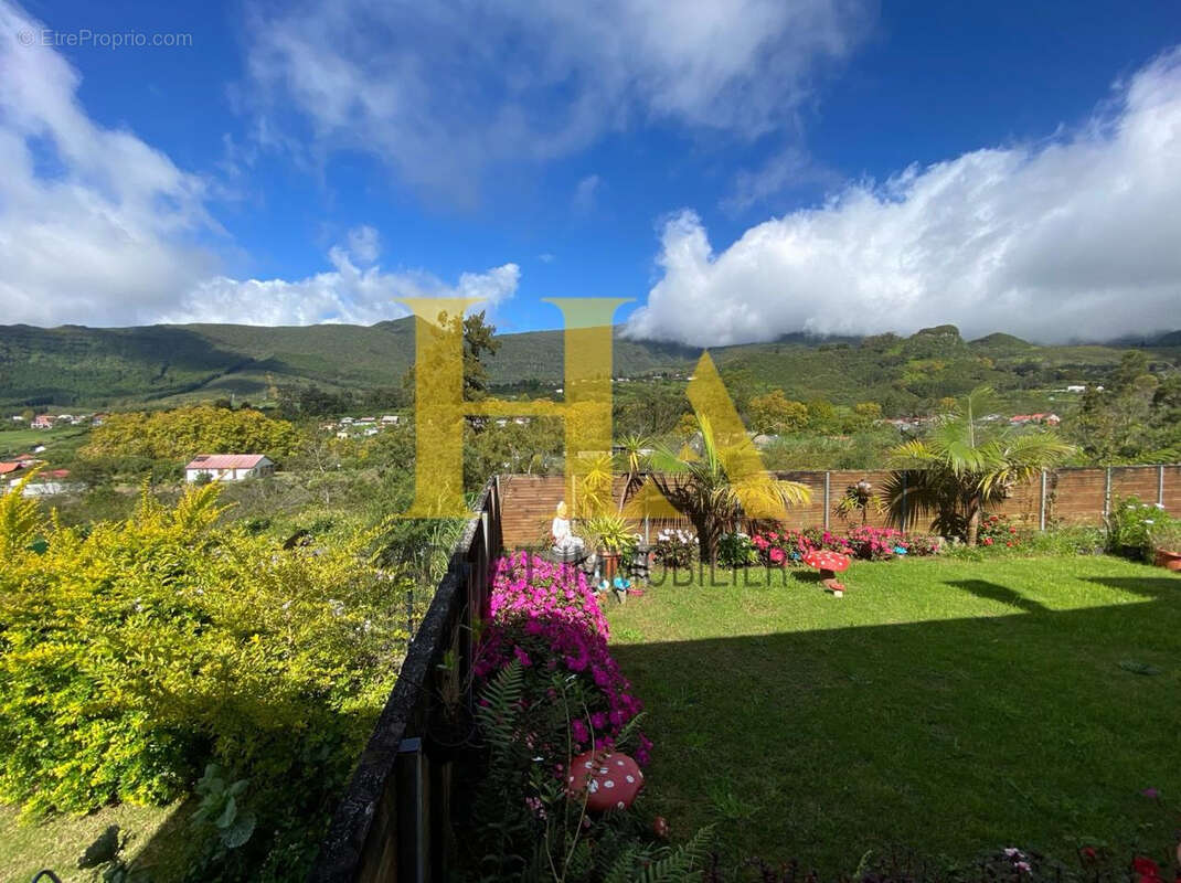 Maison à LA PLAINE-DES-PALMISTES