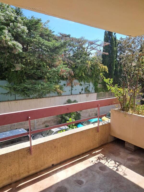 Photo 1 - Appartement à MARSEILLE-8E