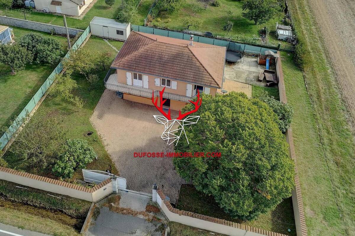 Photo 1 - Maison à DIEMOZ