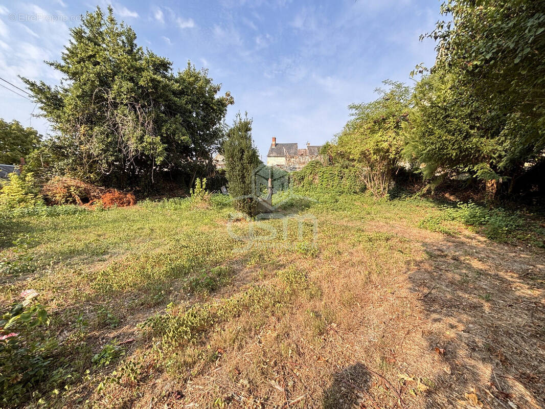 Terrain à SAINTE-MAURE-DE-TOURAINE