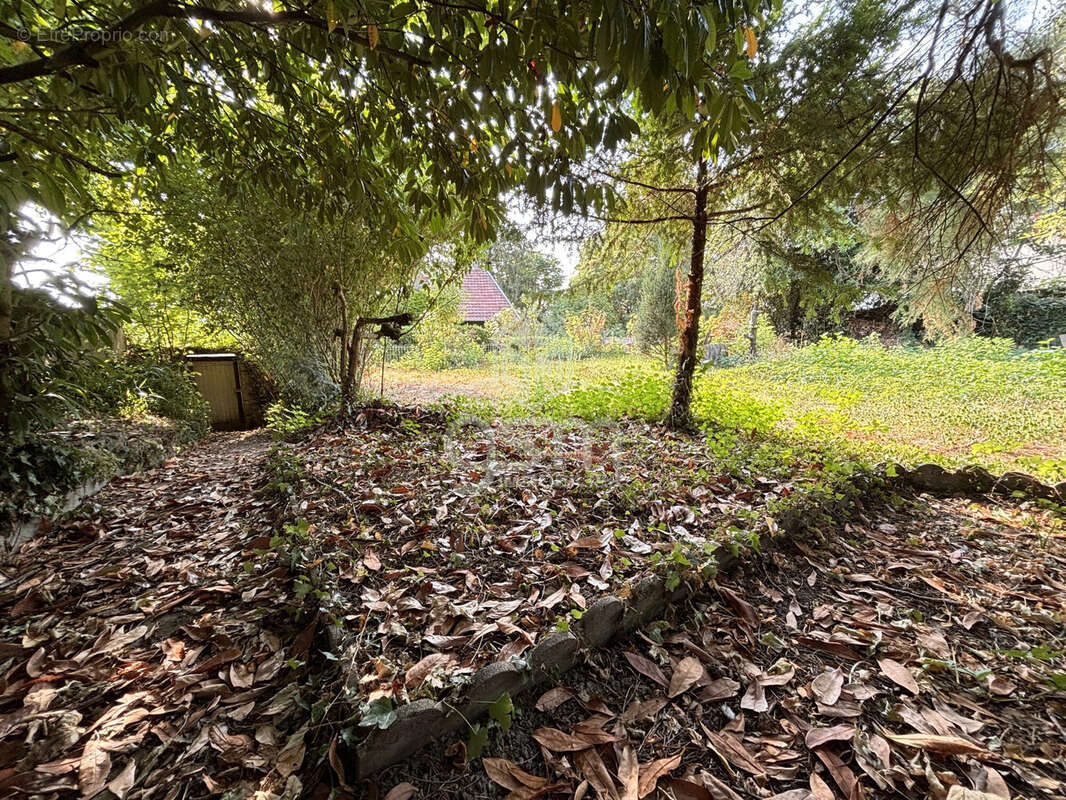 Terrain à SAINTE-MAURE-DE-TOURAINE