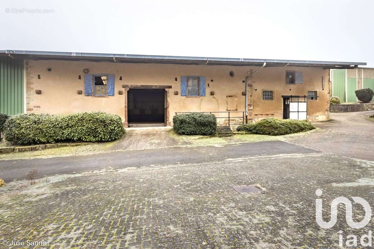 Photo 3 - Maison à HOMBOURG-HAUT