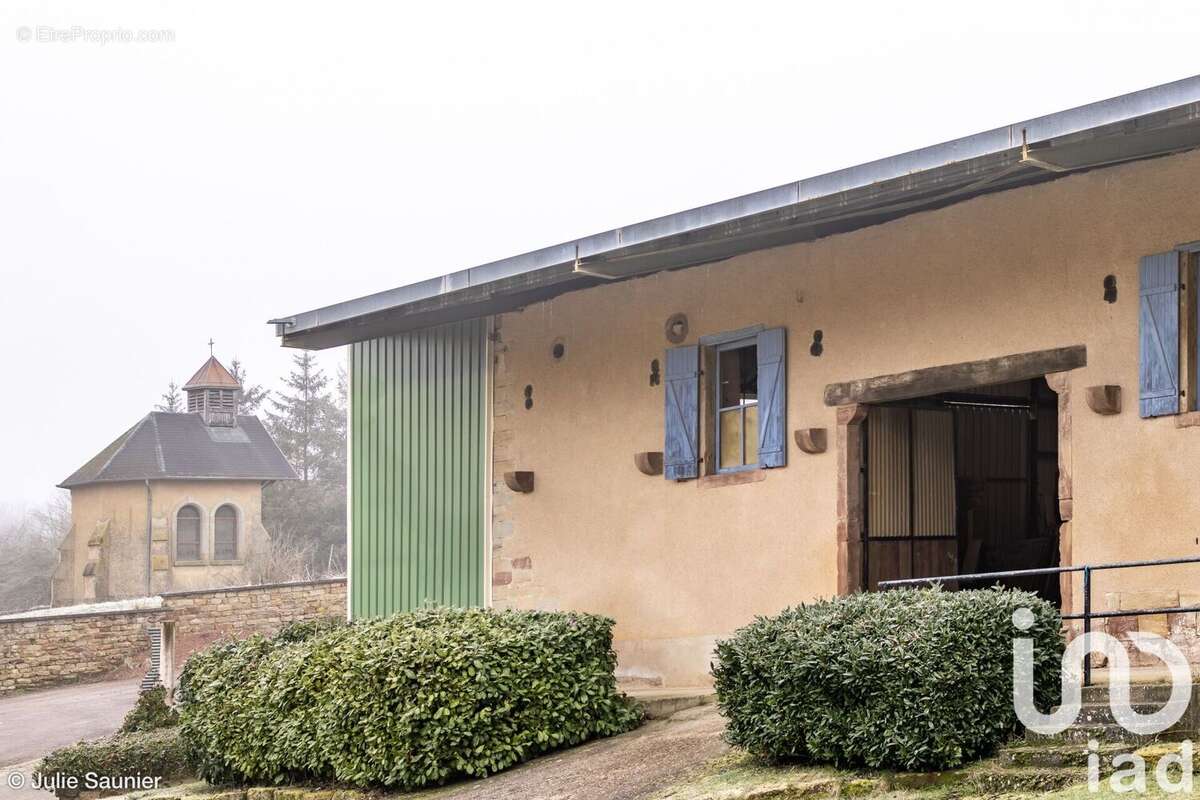 Photo 4 - Maison à HOMBOURG-HAUT