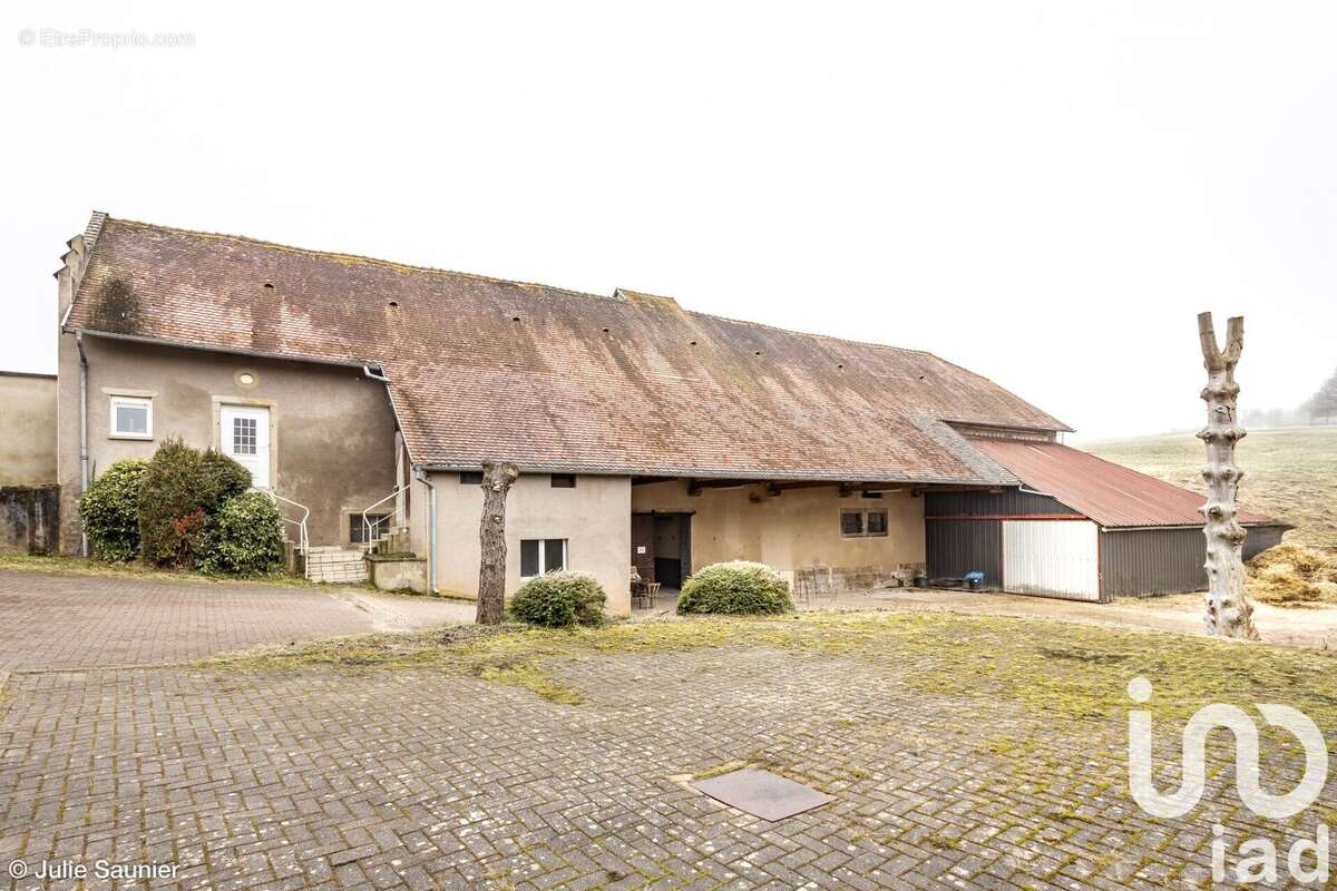 Photo 6 - Maison à HOMBOURG-HAUT