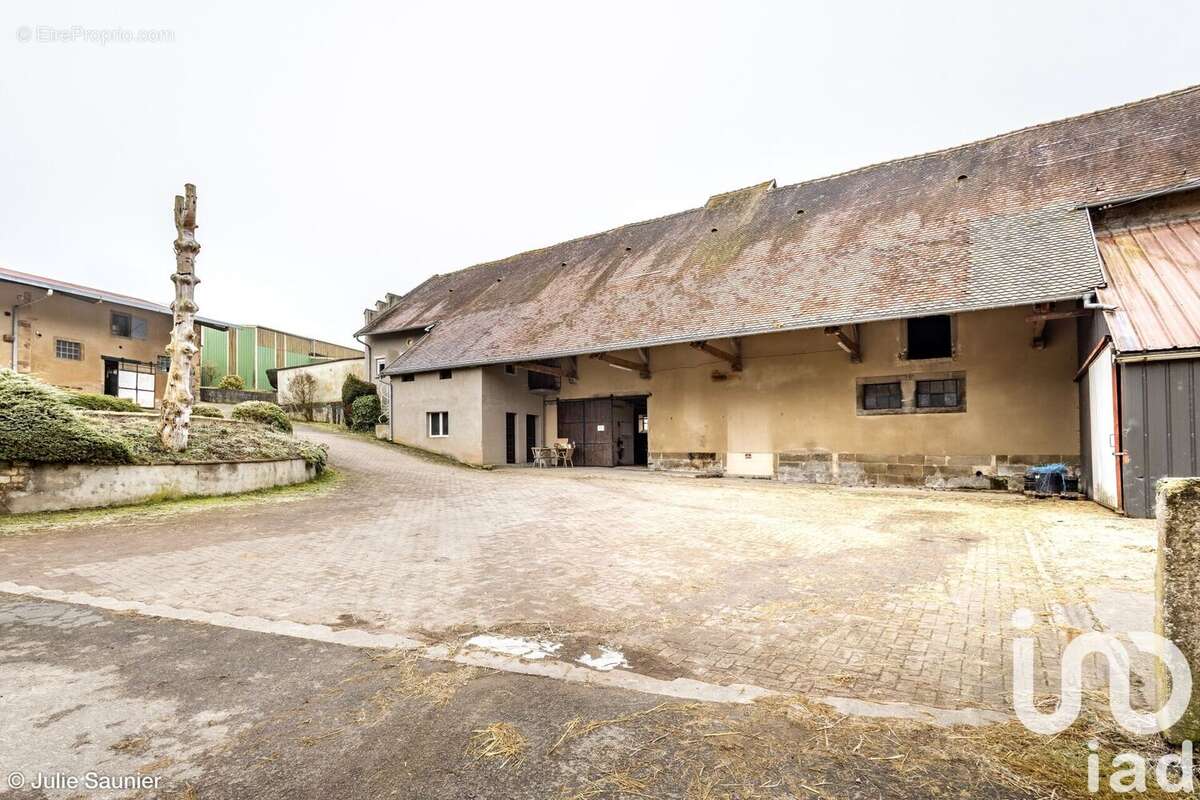 Photo 7 - Maison à HOMBOURG-HAUT