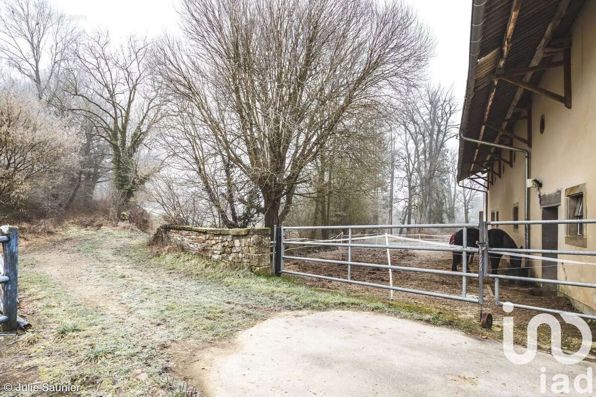 Photo 8 - Maison à HOMBOURG-HAUT