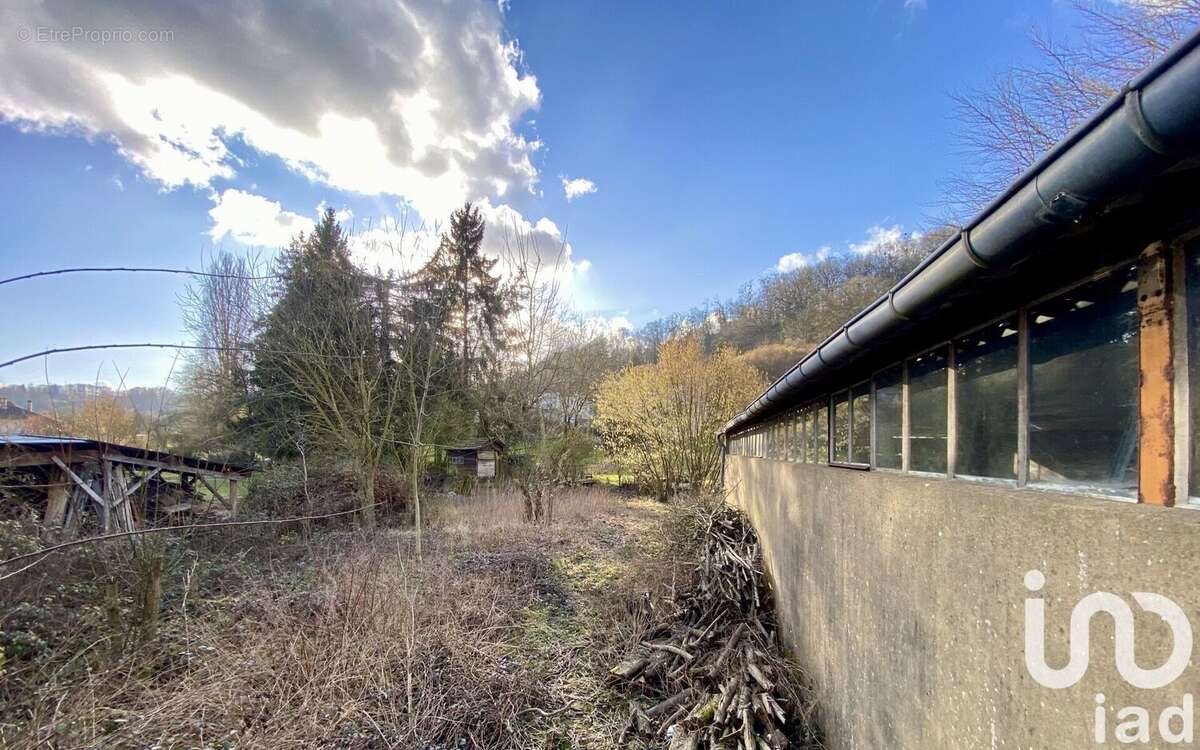 Photo 5 - Appartement à HOMBOURG-HAUT