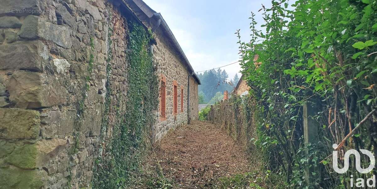 Photo 4 - Maison à LAMAZIERE-BASSE