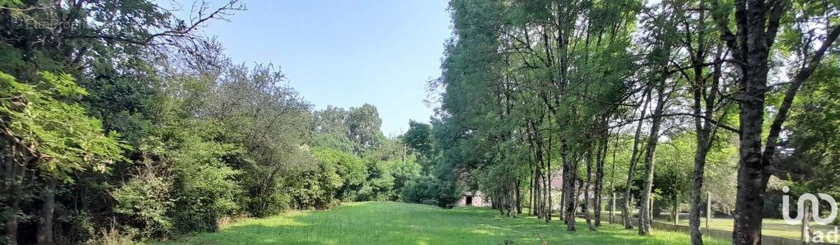 Photo 5 - Maison à SARZAY