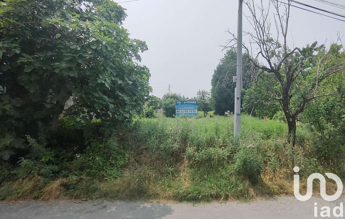 Photo 3 - Terrain à LABRUGUIERE