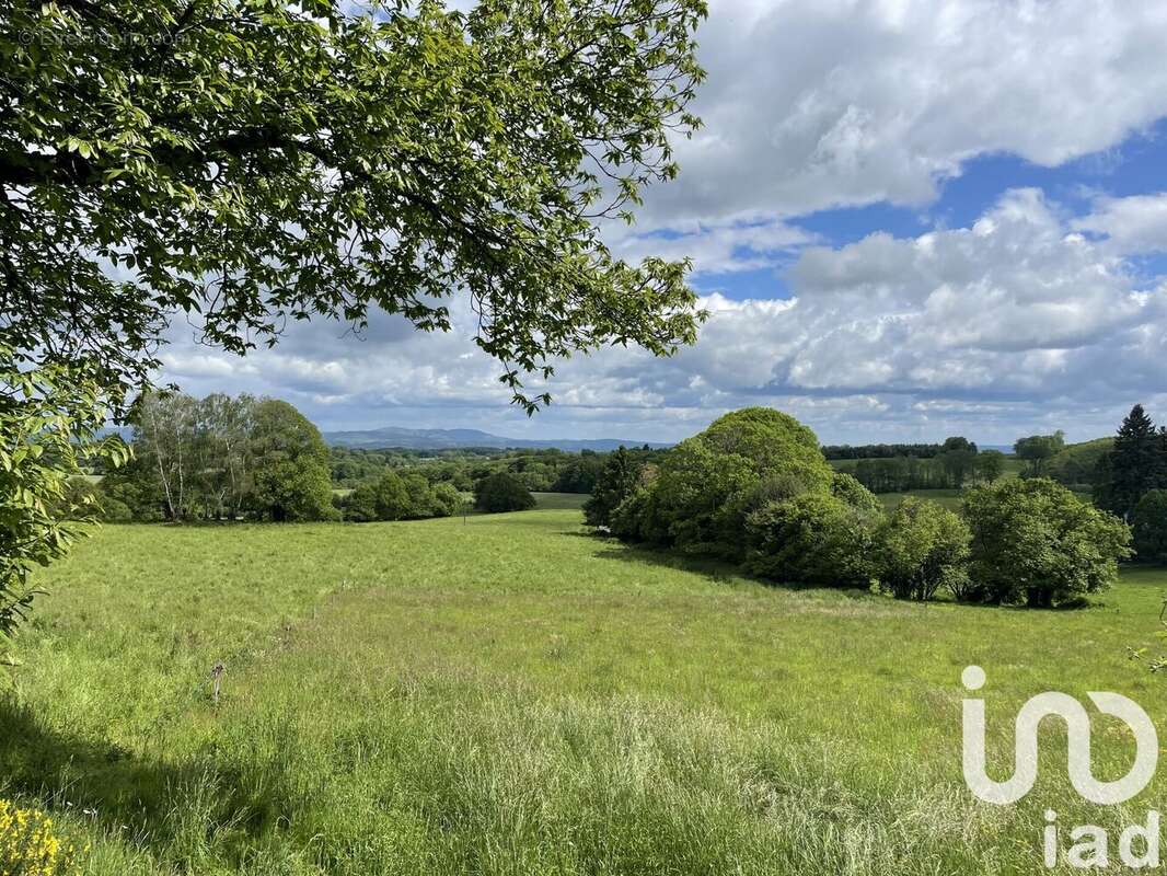 Photo 6 - Maison à SURDOUX