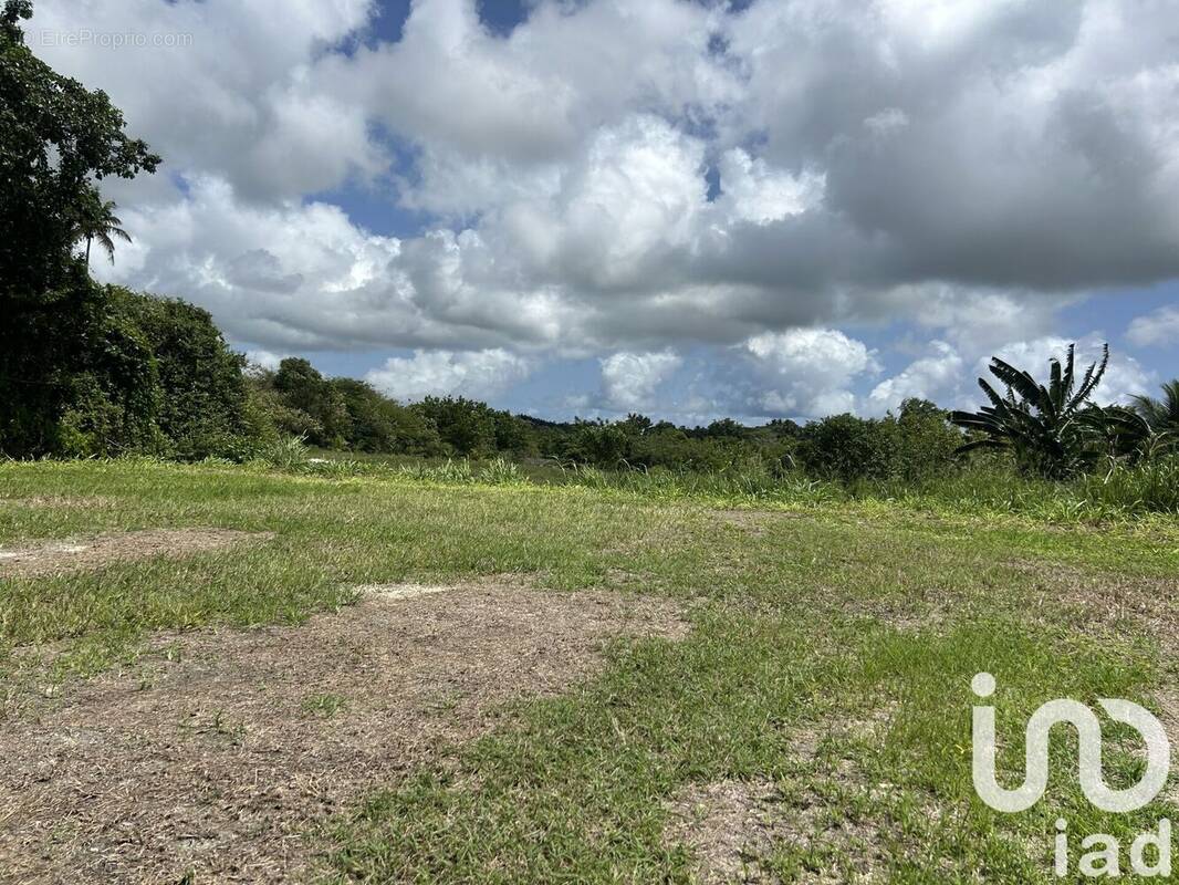 Photo 1 - Terrain à SAINTE-ANNE