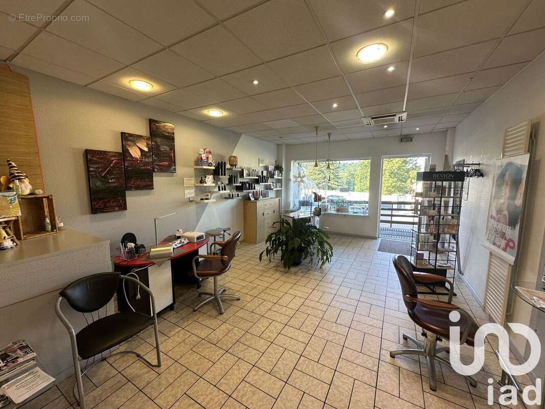 Photo 3 - Appartement à ROPPENTZWILLER