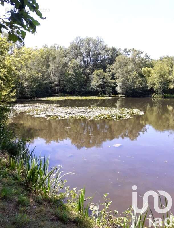 Photo 2 - Terrain à CLUIS