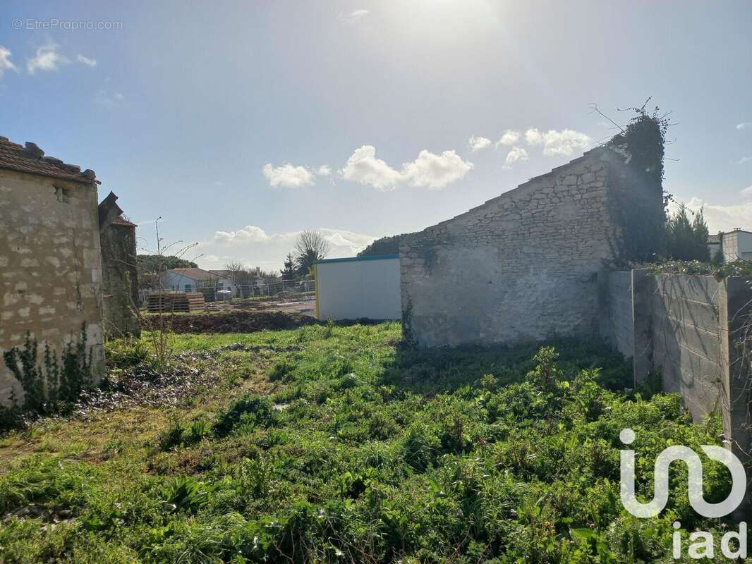 Photo 5 - Maison à SAINT-GEORGES-D&#039;OLERON