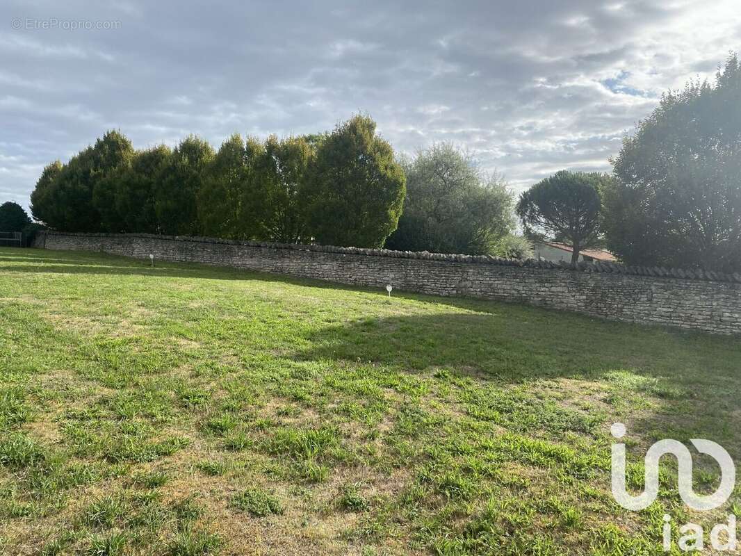 Photo 2 - Terrain à NIORT