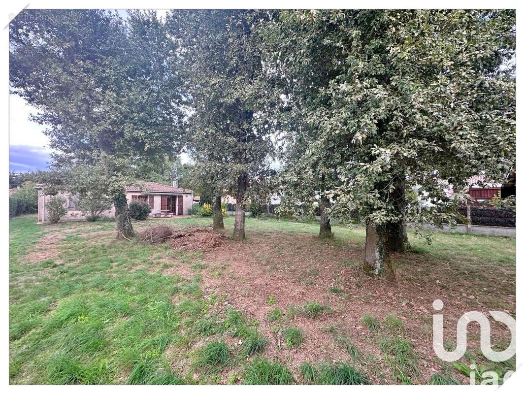 Photo 4 - Maison à GUJAN-MESTRAS