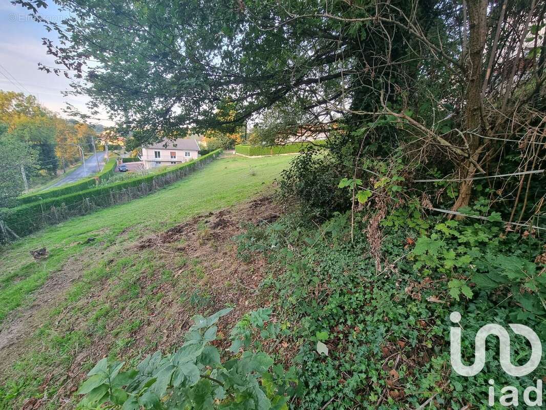 Photo 2 - Terrain à SAINTE-COLOMBE-SUR-GAND