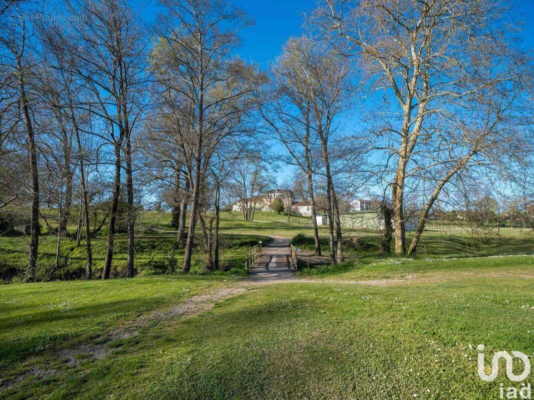 Photo 5 - Commerce à SALIES-DE-BEARN