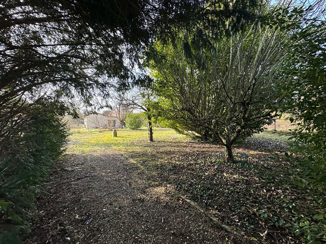 Terrain à GERMIGNY-L&#039;EVEQUE