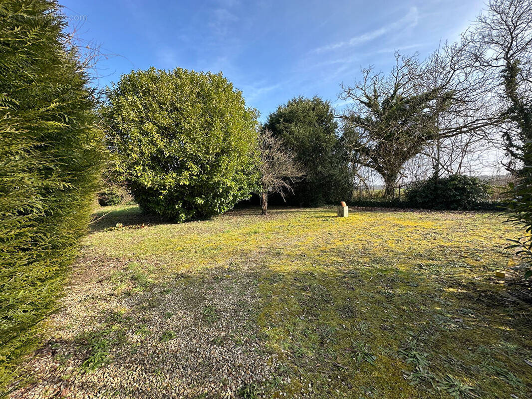 Terrain à GERMIGNY-L&#039;EVEQUE