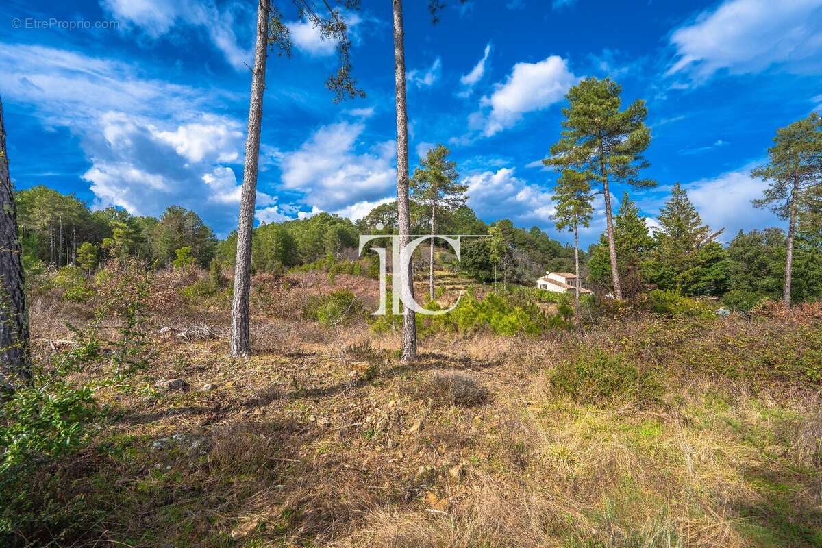 Terrain à BORDEZAC