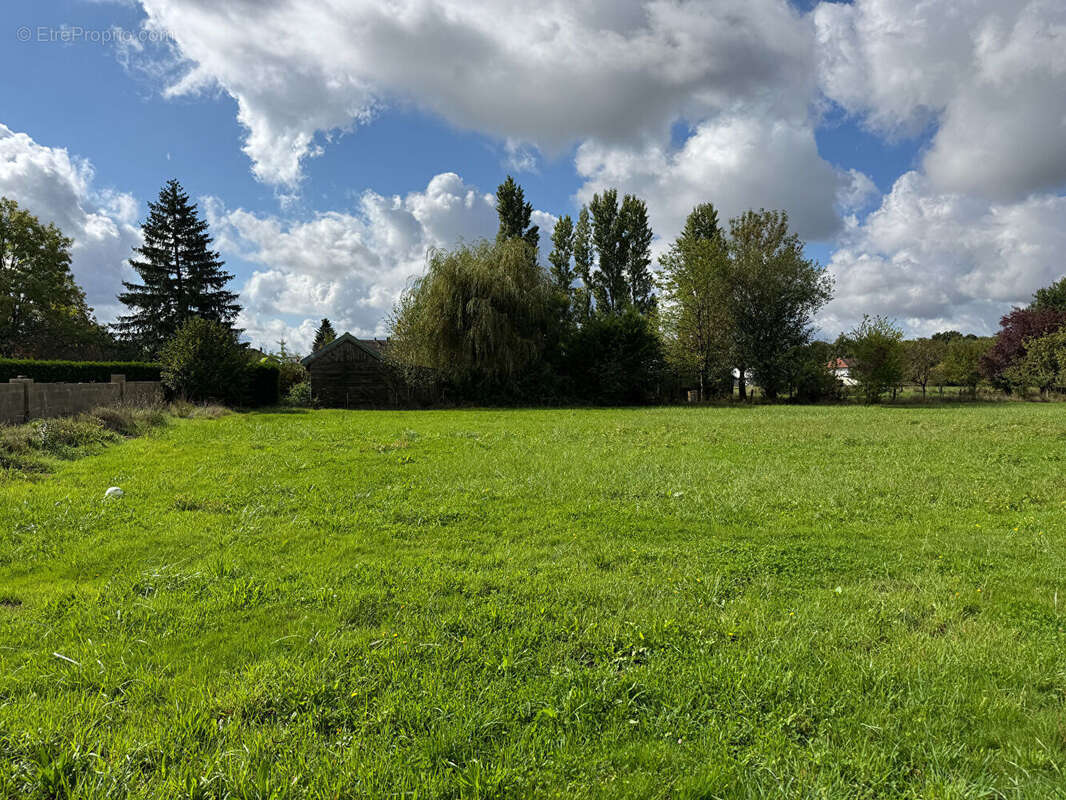 Terrain à ABERGEMENT-LA-RONCE