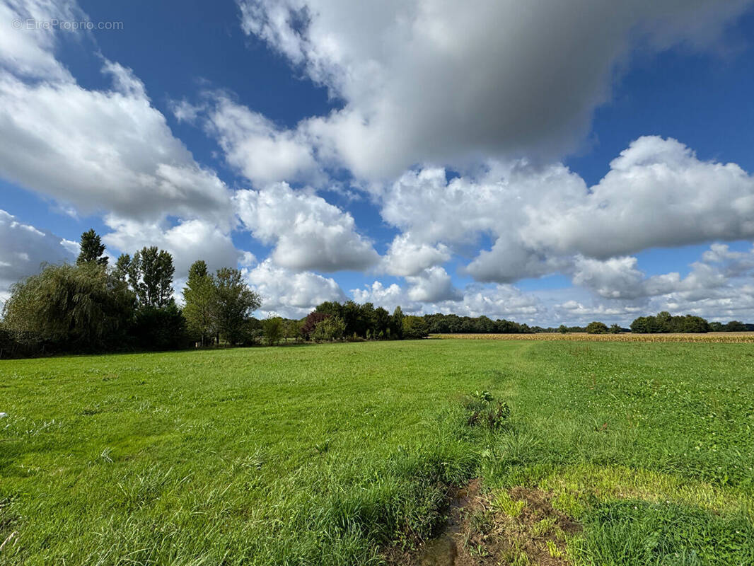 Terrain à ABERGEMENT-LA-RONCE