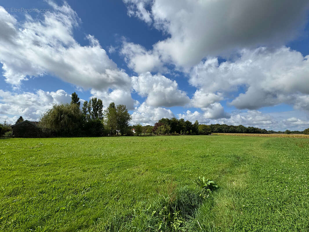 Terrain à ABERGEMENT-LA-RONCE