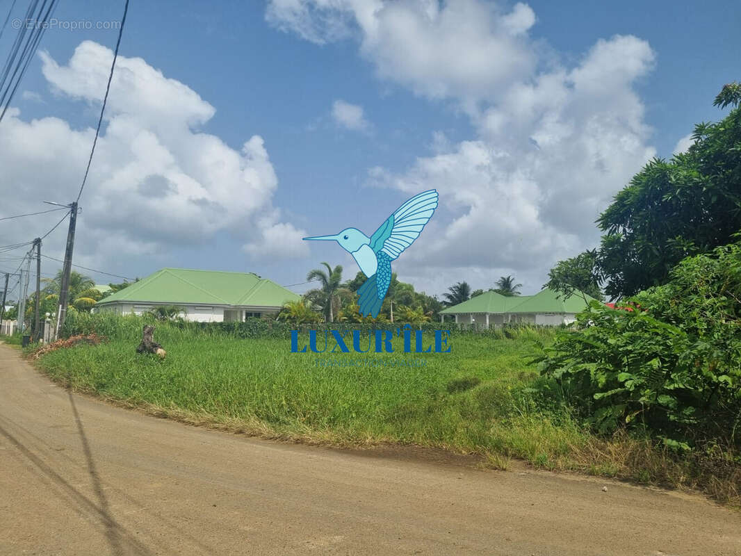 Terrain à LES ABYMES