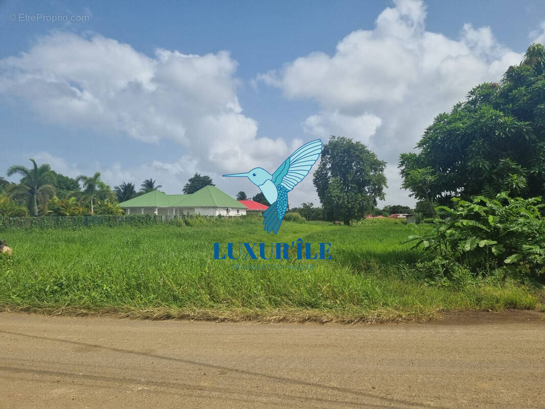 Terrain à LES ABYMES