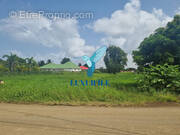 Terrain à LES ABYMES