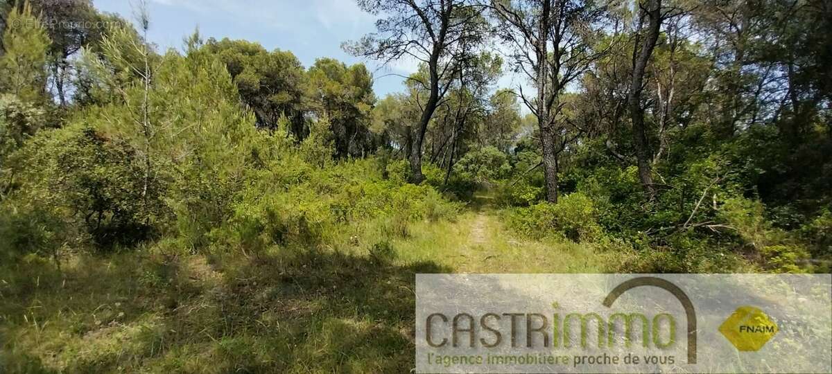 Terrain à BUZIGNARGUES