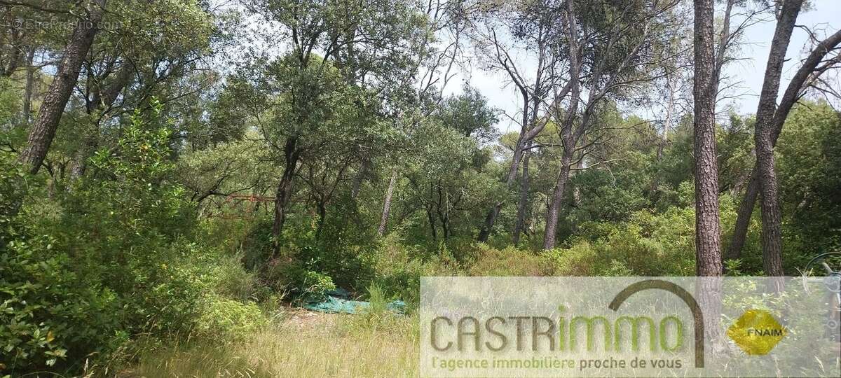 Terrain à BUZIGNARGUES