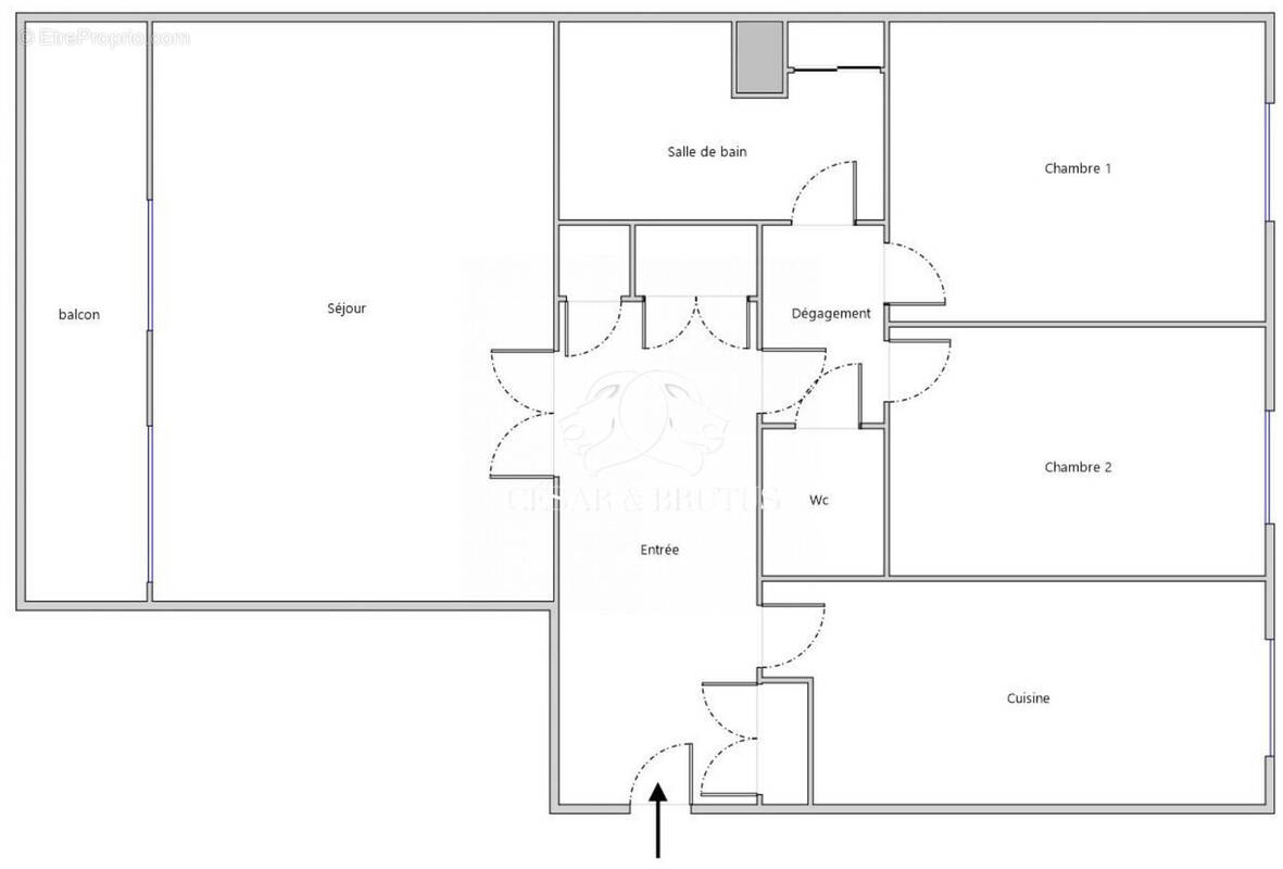 Appartement à CALUIRE-ET-CUIRE
