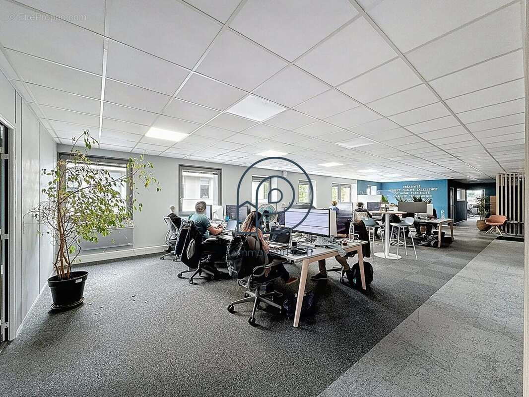 Commerce à WASQUEHAL