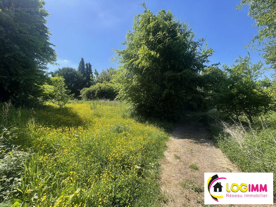 Commerce à ORSINVAL